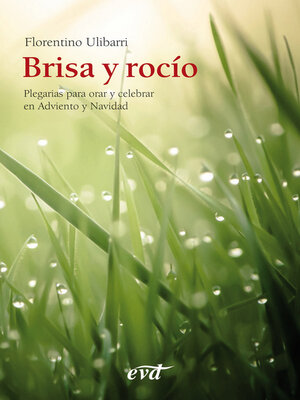 cover image of Brisa y rocío